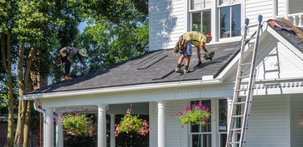 Best Gutter Installation and Roofing  in Ashland, VA